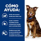 Hill's Prescription Diet Metabolic Pollo lata para perros, , large image number null
